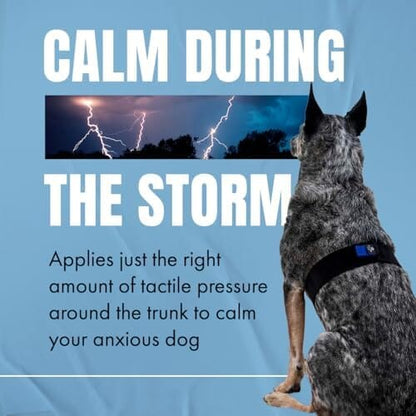 Fast, Safe & Effective Anxiety Relief for Dogs