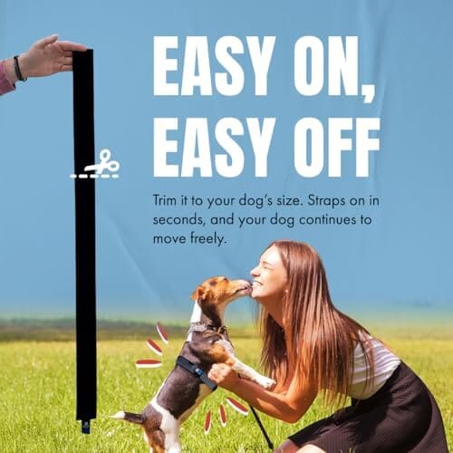 Fast, Safe & Effective Anxiety Relief for Dogs