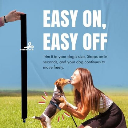 Fast, Safe & Effective Anxiety Relief for Dogs