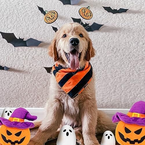Halloween Dog Toy - Pumpkin & Ghosts Dog Halloween Toys