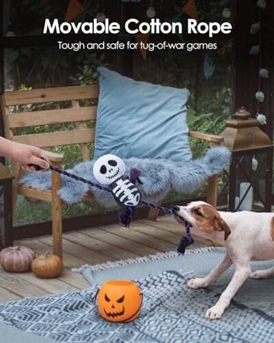 Halloween Dog Toys, Funny Squeaky Dog Toys
