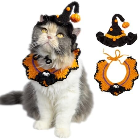 Hand-Knit Halloween Pet Costume-Spider Bib & Pumpkin Hat for Cats