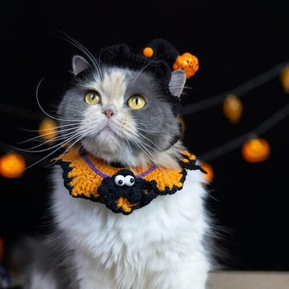 Hand-Knit Halloween Pet Costume-Spider Bib & Pumpkin Hat for Cats