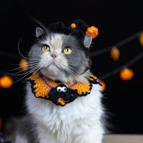 Hand-Knit Halloween Pet Costume-Spider Bib & Pumpkin Hat for Cats
