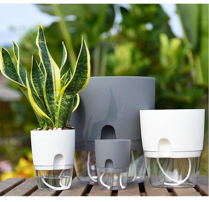 HydroBloom - Hydroponic Self Watering Flowerpot (3 Pots Set)