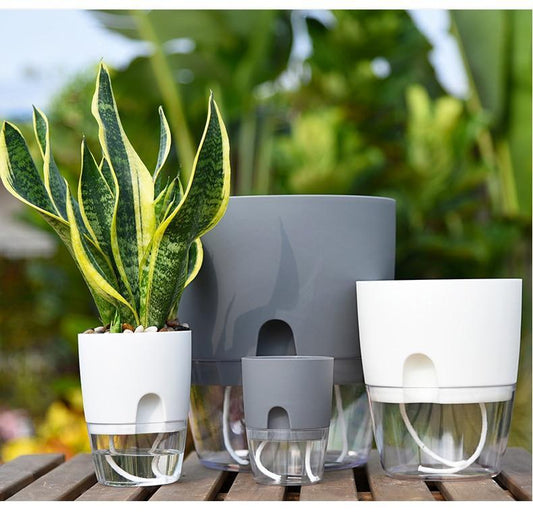 HydroBloom - Hydroponic Self Watering Flowerpot (3 Pots Set)