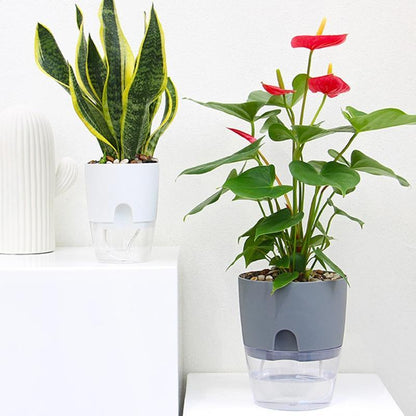 HydroBloom - Hydroponic Self Watering Flowerpot (3 Pots Set)