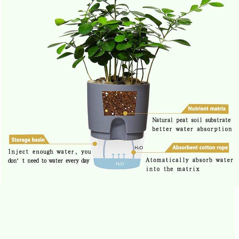 HydroBloom - Hydroponic Self Watering Flowerpot (3 Pots Set)