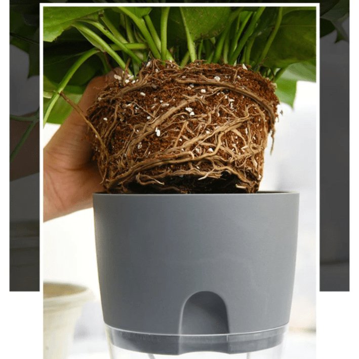HydroBloom - Hydroponic Self Watering Flowerpot (3 Pots Set)