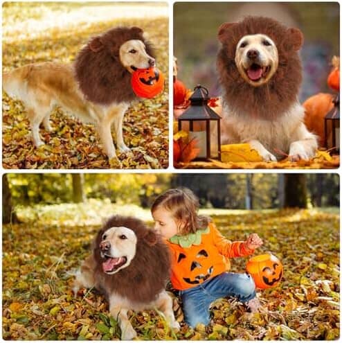 Lion Mane for Dog Costume