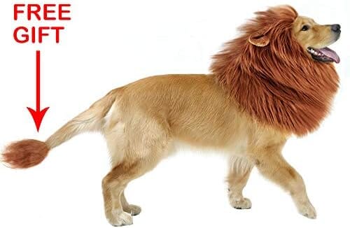 Lion Mane for Dog Costume