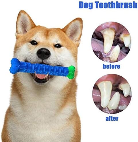 Natural Rubber Bite Resistant Dog Toothbrush Toy