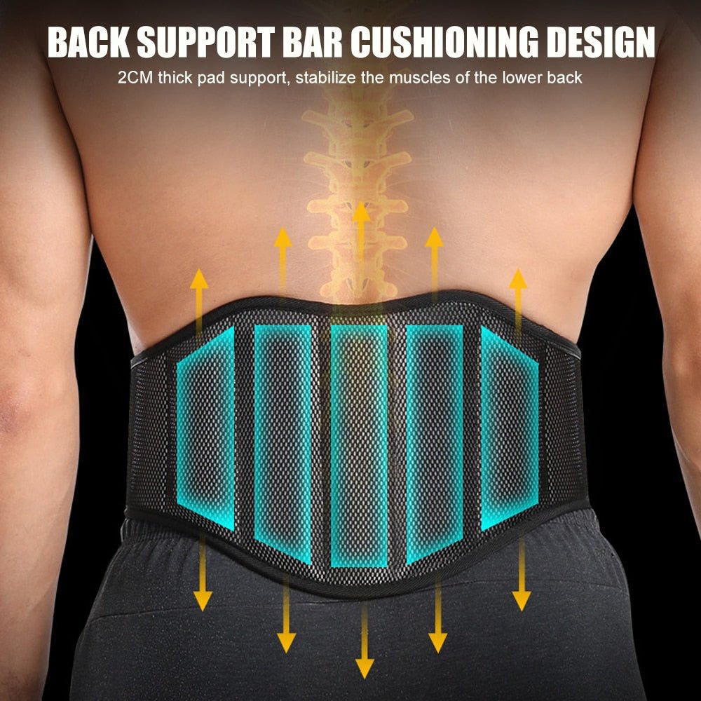 PostureGuard Back Support Belt