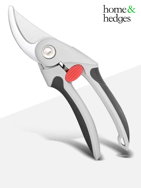 Pruning Snips