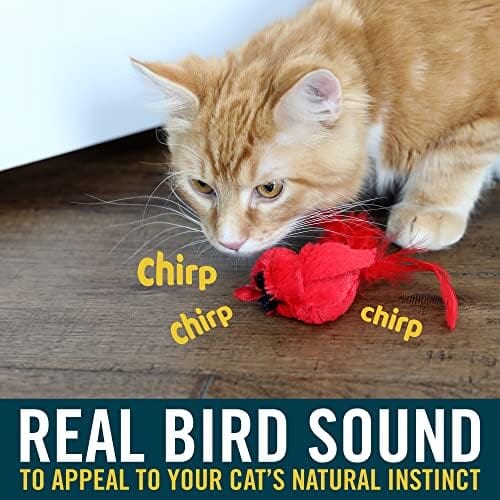 Real Birds Interactive Cat Toys with Catnip