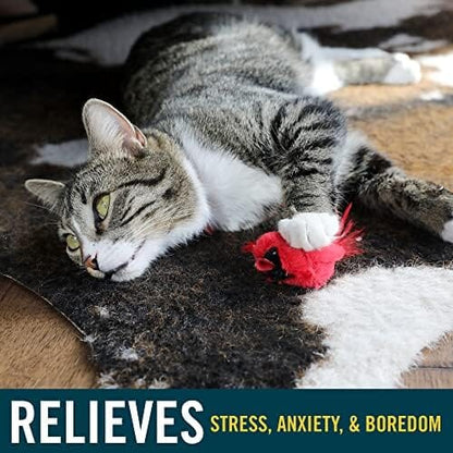 Real Birds Interactive Cat Toys with Catnip