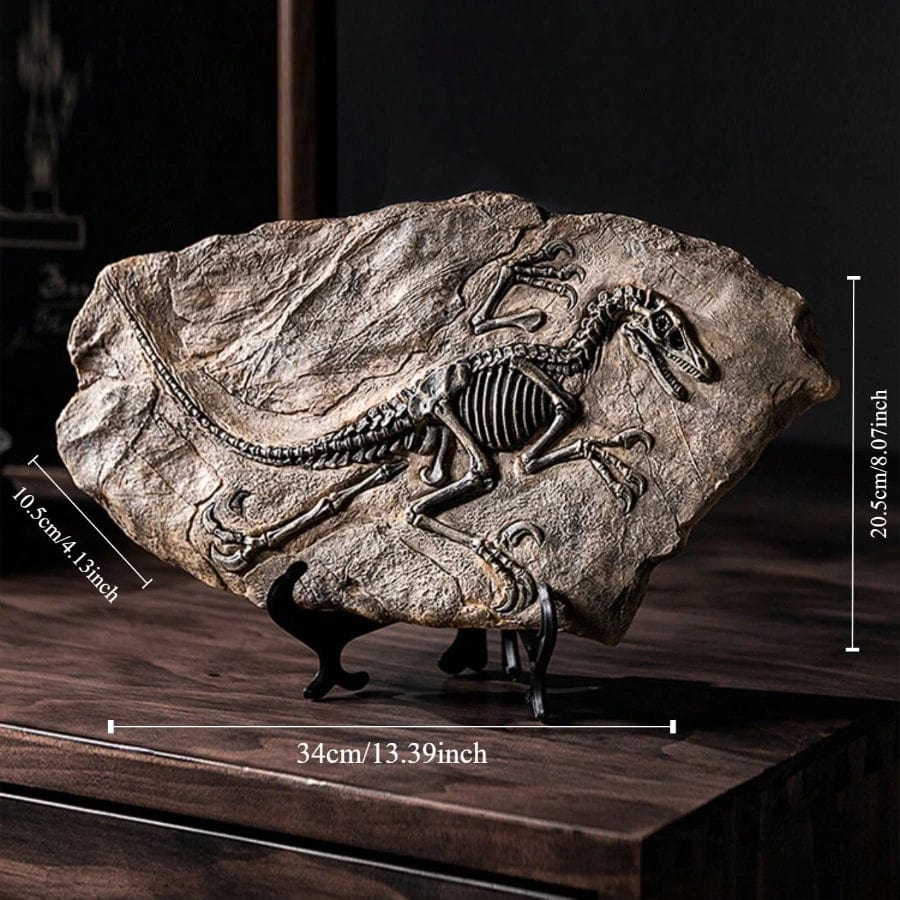 Resin Dinosaur Skeleton Model - Tyrannosaurus Rex Fossil Decoration for Display