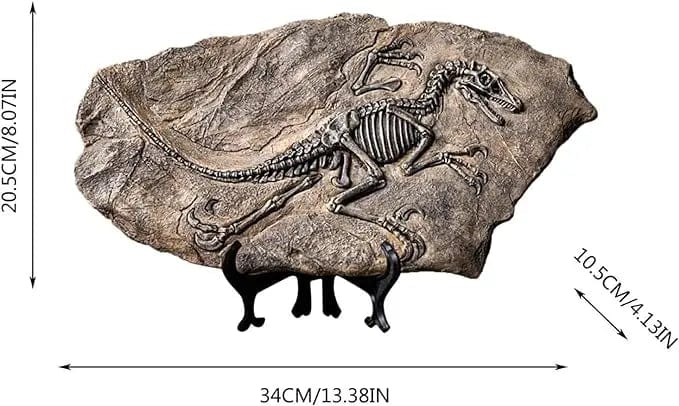 Resin Dinosaur Skeleton Model - Tyrannosaurus Rex Fossil Decoration for Display