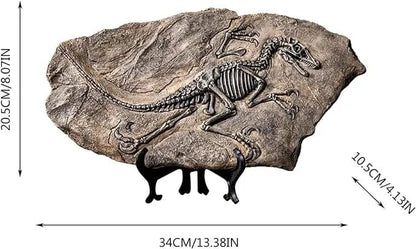 Resin Dinosaur Skeleton Model - Tyrannosaurus Rex Fossil Decoration for Display