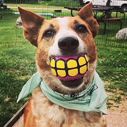 Rubber Funny Ball Gifts for Large Medium Dogs (Variety Pack)