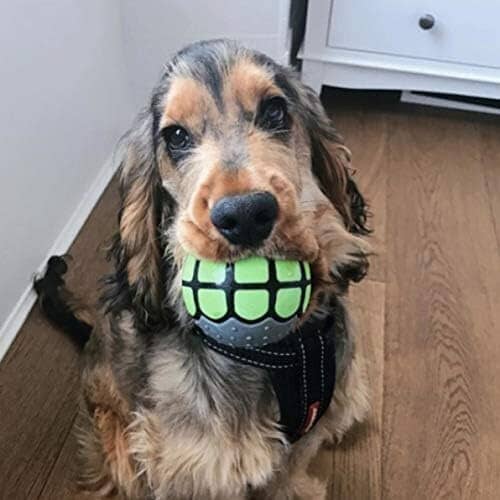 Rubber Funny Ball Gifts for Large Medium Dogs (Variety Pack)