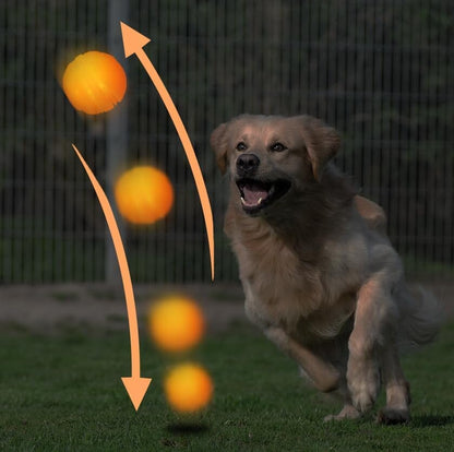 Silicon Glowing Dog Toy Ball at Night with USB Rechargeable