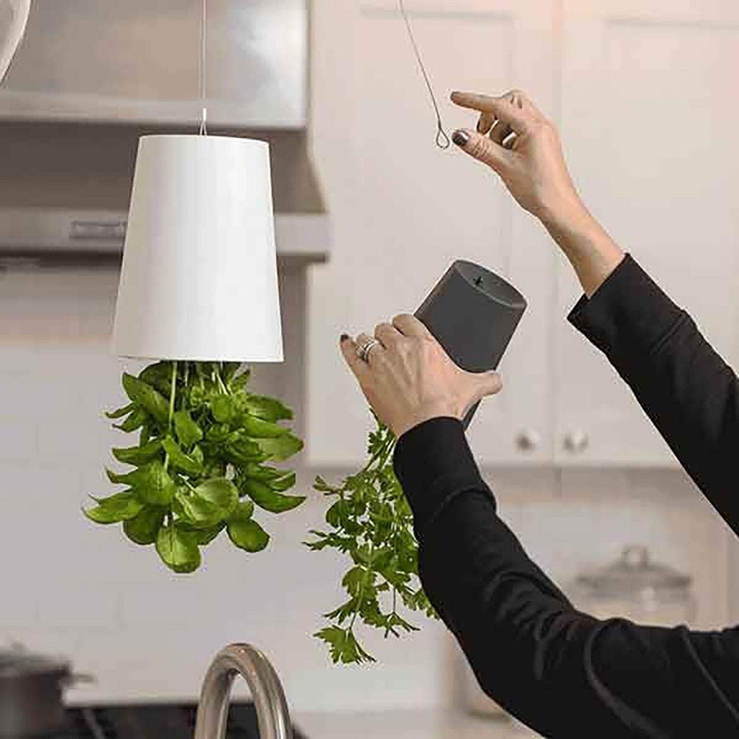 Sky Garden - Upside-Down Plant Flower Pot Hanging Planter