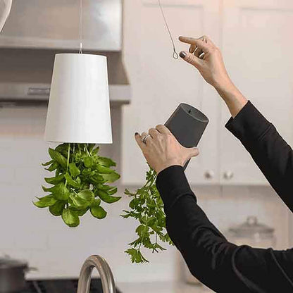 Sky Garden - Upside-Down Plant Flower Pot Hanging Planter
