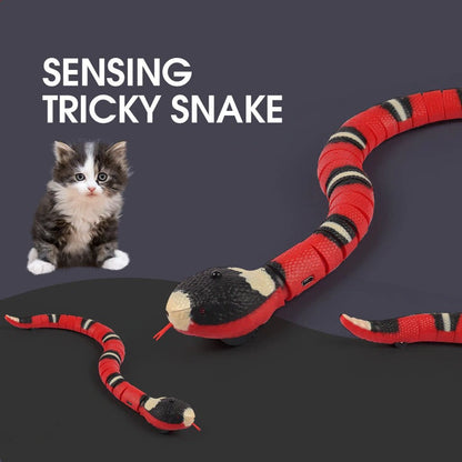 Snake Cat Toy - Interactive Rechargeable Snake Toy