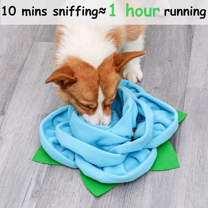 Snuffle Mat for Dogs