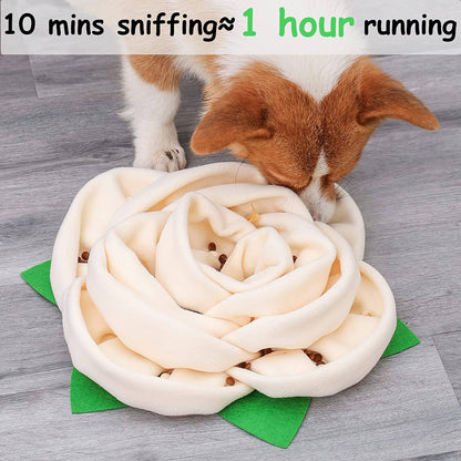 Snuffle Mat for Dogs