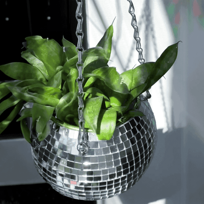 The Disco Planter