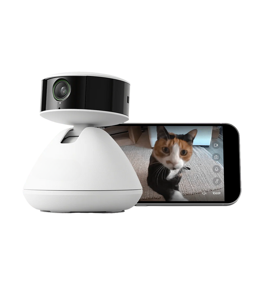 Scout Smart Camera