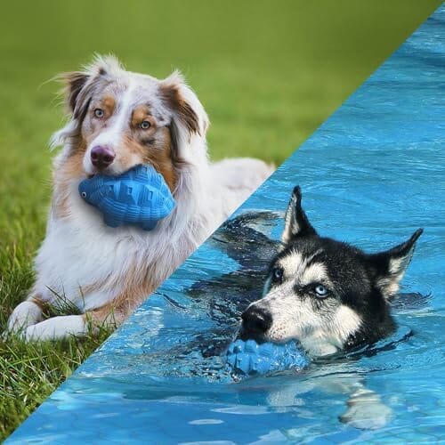 Turtle Indestructible & Tough for Aggressive Chewers