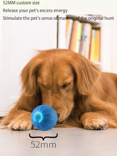 USB Rechargeable Motion-Activated Rolling Toy